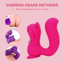 Load image into Gallery viewer, 10+10 sucking vibration rapid stimulation vibrator —— Squirrel
